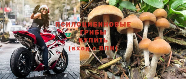 стаф Сосновый Бор