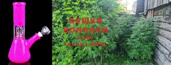 стаф Сосновый Бор