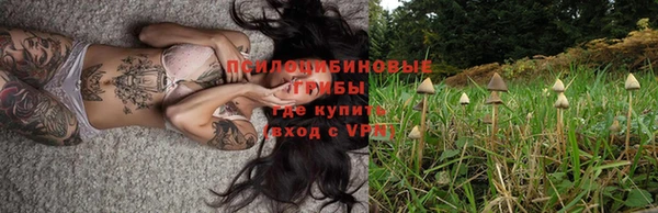 дурь Нея