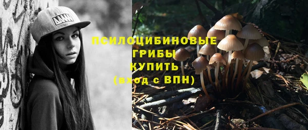 кокс Нефтекумск