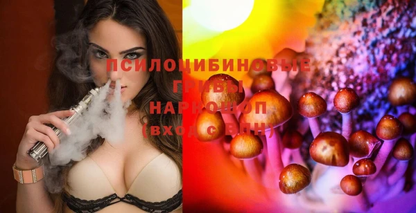 стаф Сосновый Бор