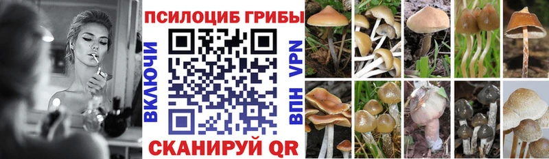 даркнет сайт  Алатырь  Галлюциногенные грибы ЛСД 