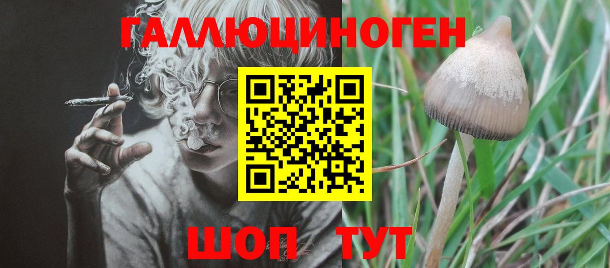 где купить наркоту  Алатырь  Псилоцибиновые грибы MAGIC MUSHROOMS 