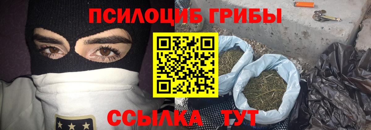 Псилоцибиновые грибы мицелий Алатырь