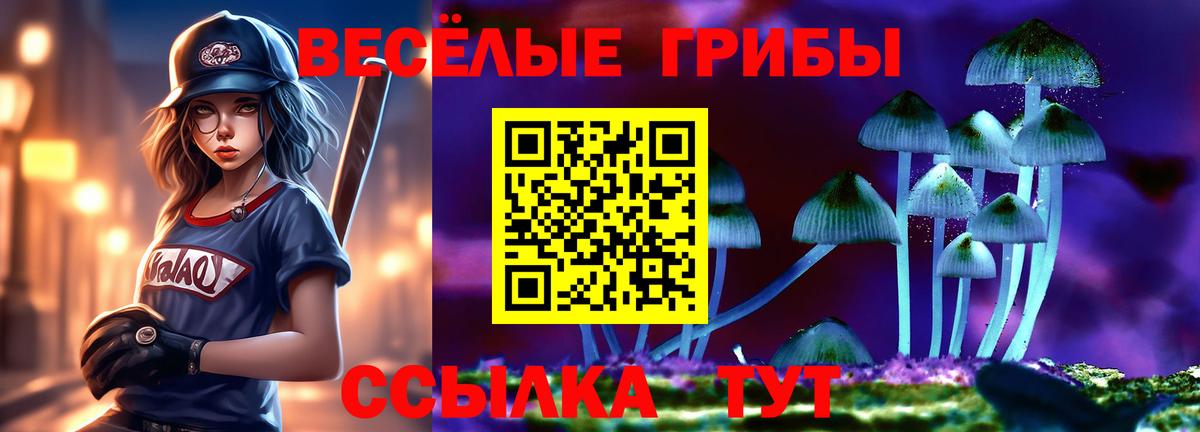 Псилоцибиновые грибы MAGIC MUSHROOMS Алатырь