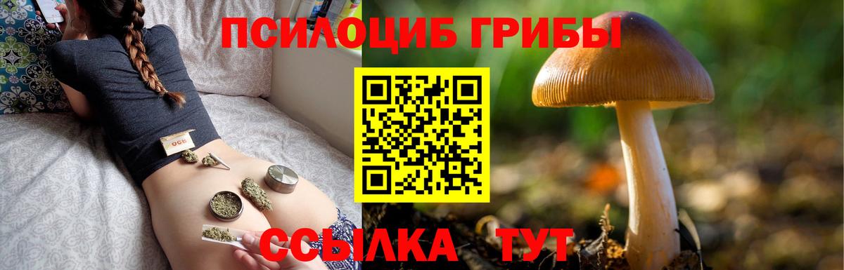 Алатырь  Галлюциногенные грибы Psilocybe  Вход с VPN  Галлюциногенные грибы прущие грибы 