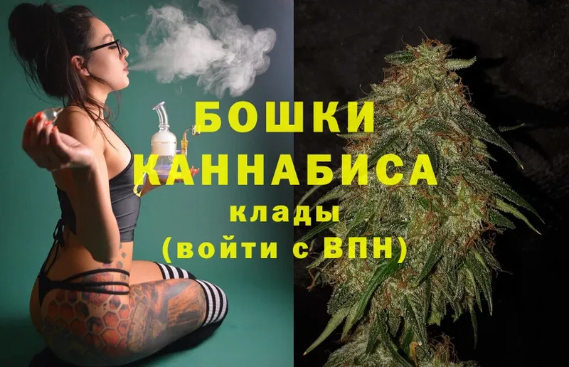 Канабис OG Kush  Алатырь 